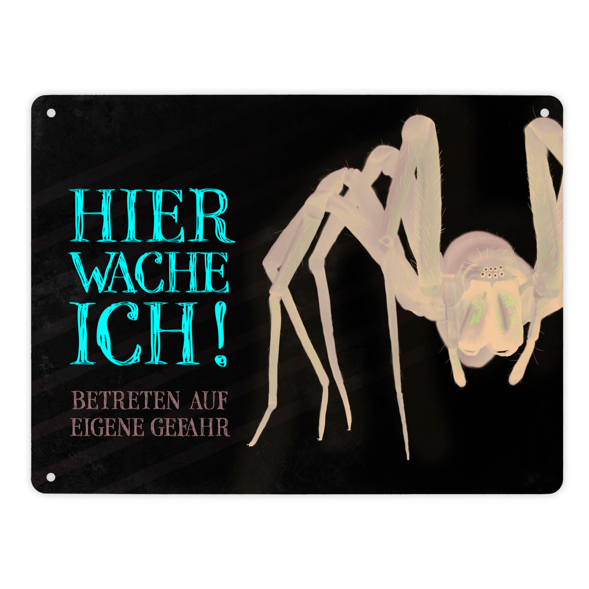 Metallschild mit Spinne Motiv und Spruch: Betreten auf eigene Gefahr ...