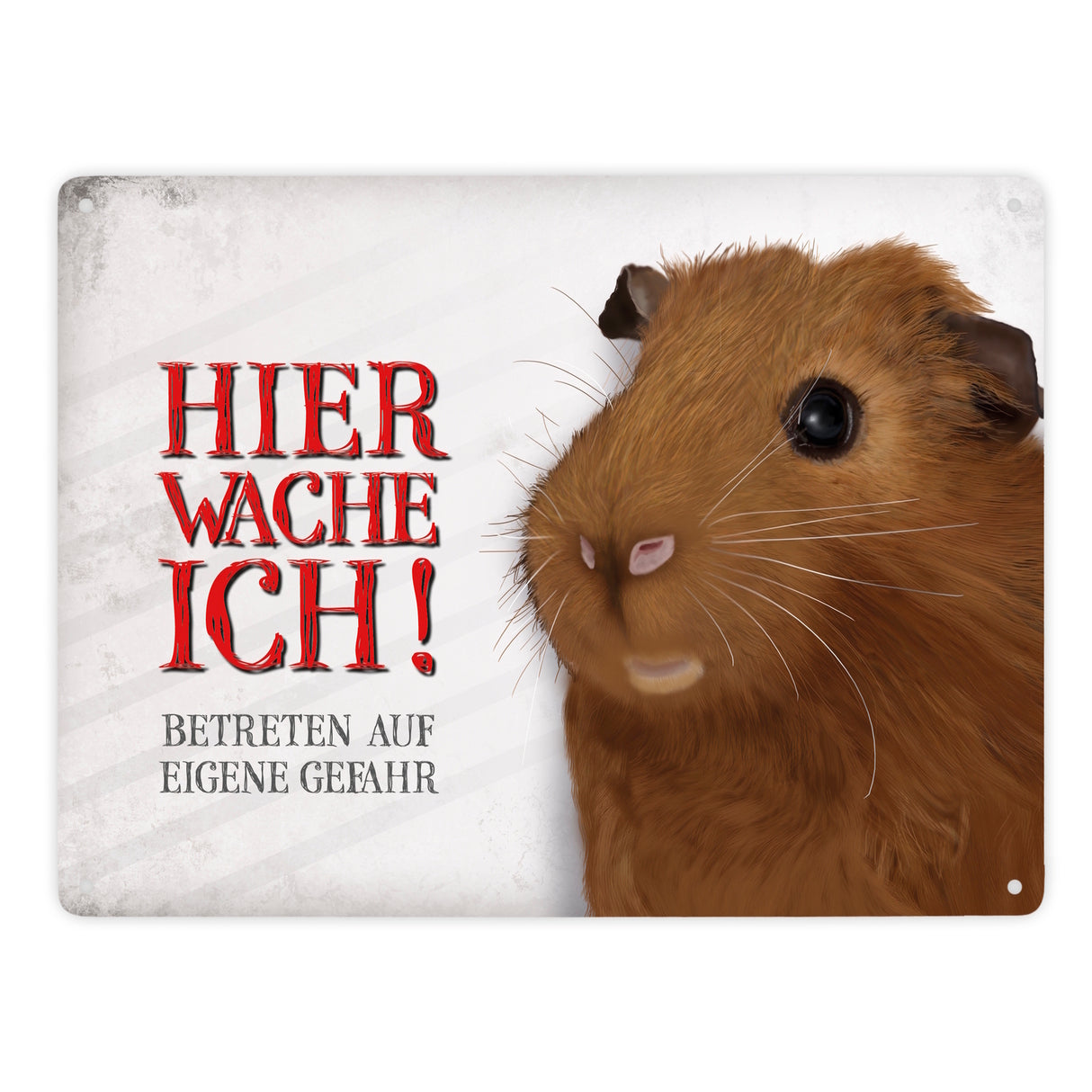 Metallschild mit Meerschweinchen Motiv und Spruch: Betreten auf eigene Gefahr ...