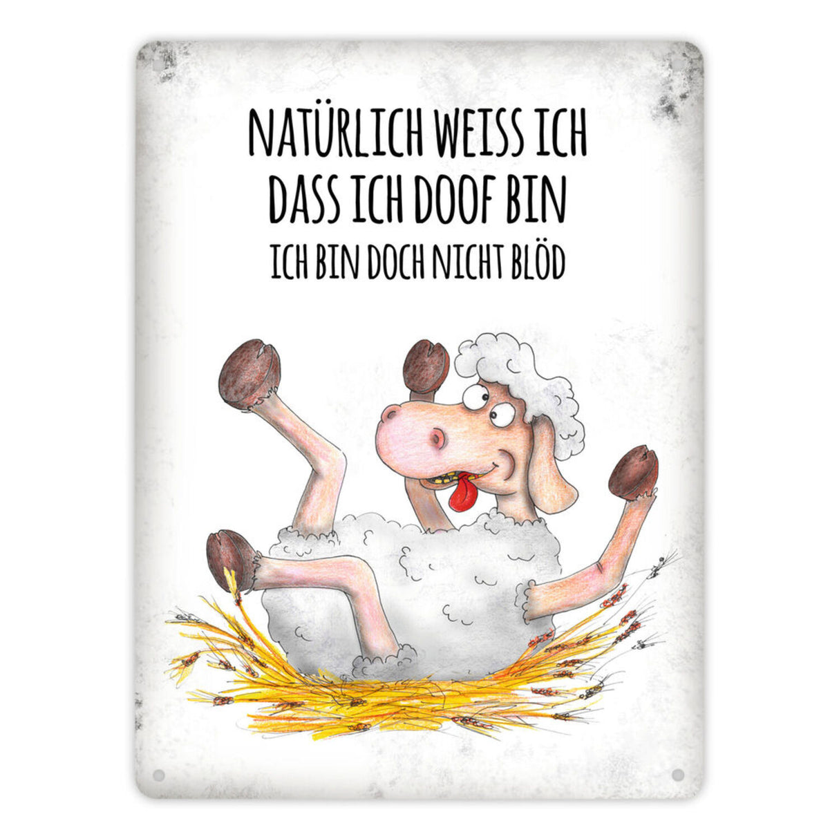 Metallschild mit Schaf Motiv und Spruch: Natürlich weiß ich, dass ich doof ...