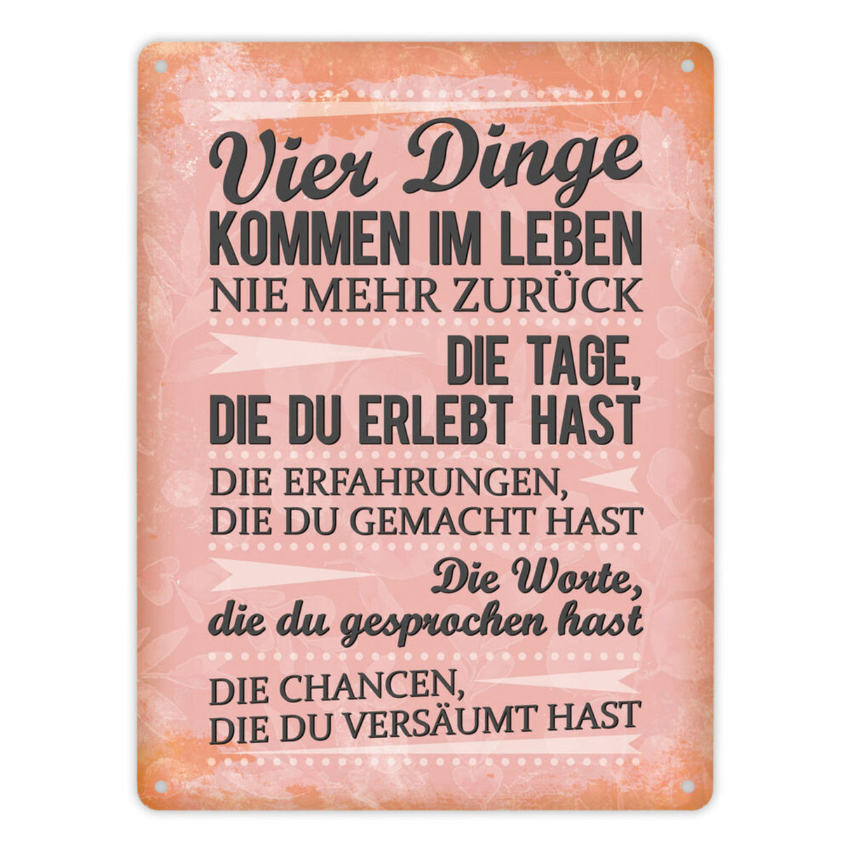 Vier Dinge kommen im Leben nie zurück Metallschild Chance Erfahrung Worte