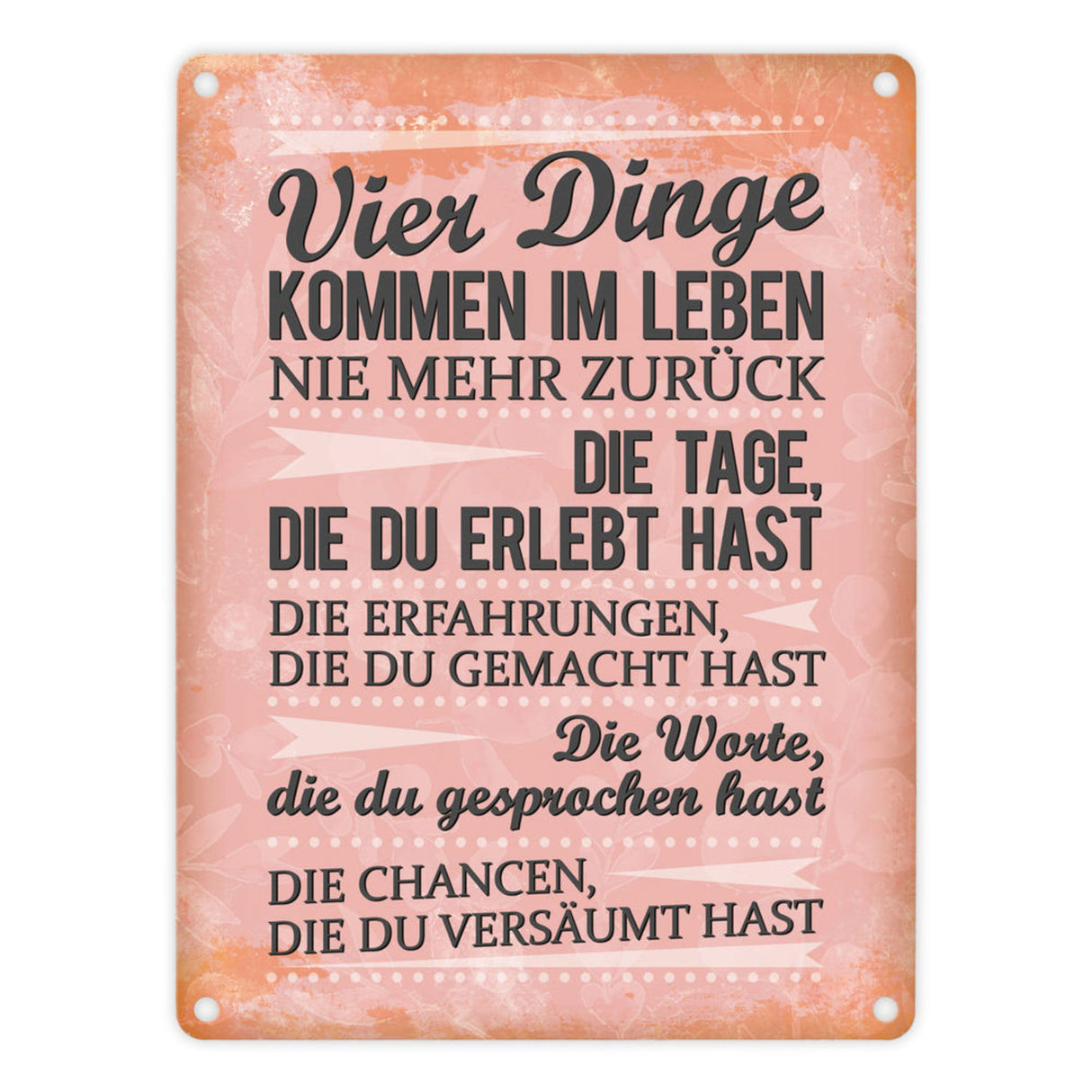 Vier Dinge kommen im Leben nie zurück Metallschild Chance Erfahrung Worte