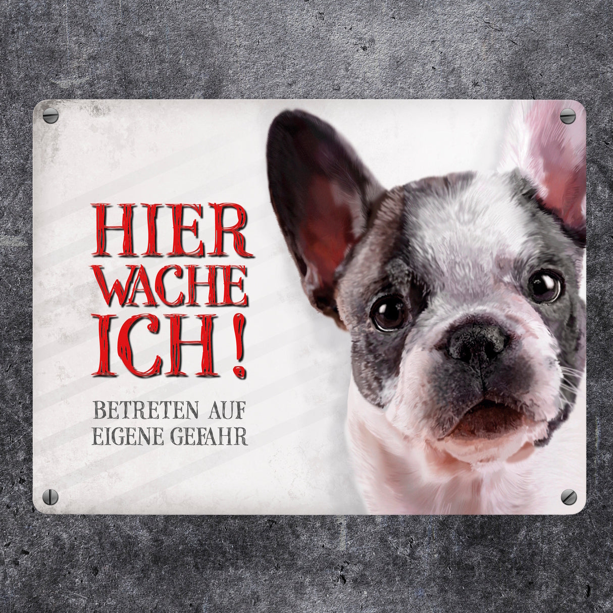 Hier wache ich! Französische Bulldogge Metallschild