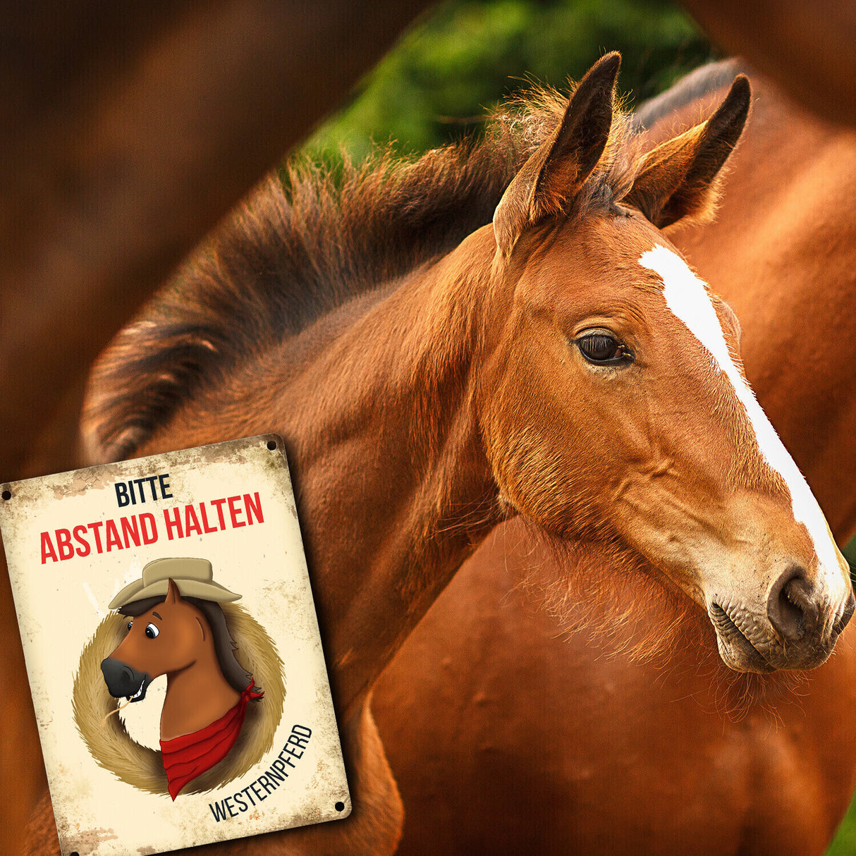 Metallschild mit Westernpferd Motiv für Pferdeanhänger - Pferde, Hängerschild, Westernreiten
