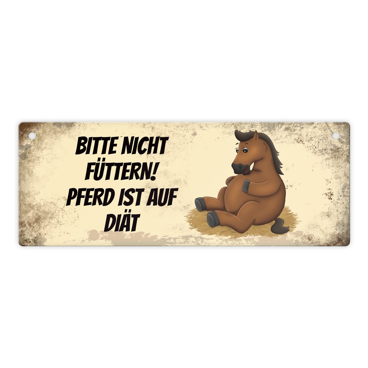 Metallschild mit braunem Pferd Motiv und Spruch: Bitte nicht füttern - Diät