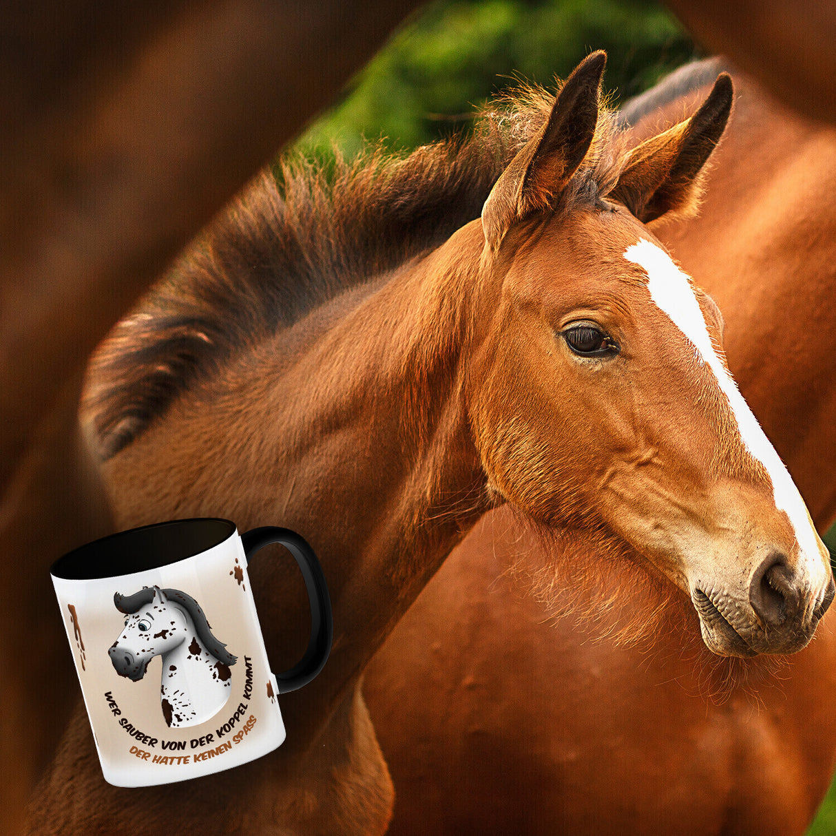 Kaffeebecher mit weißes Pferd Motiv und Spruch: Wer sauber von der Koppel kommt, ...