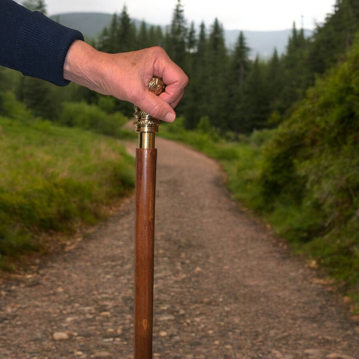 Edler Spazierstock Gehstock aus Holz mit graviertem goldenen Griff aus Metall