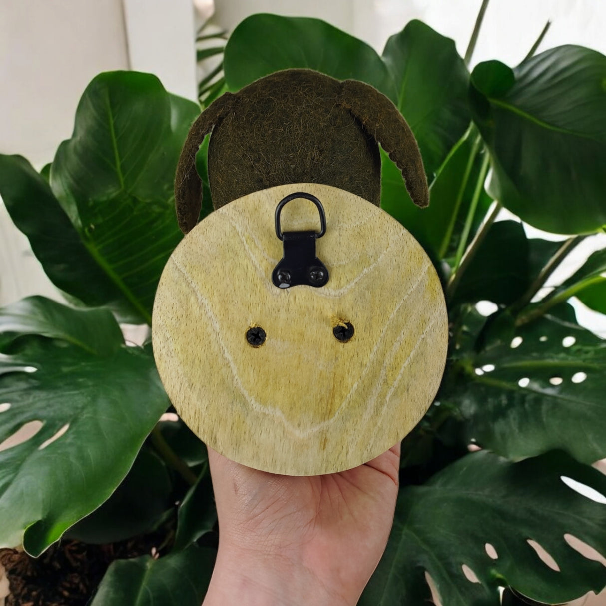 woolimals Dackel Dieter Trophäe aus Wolle