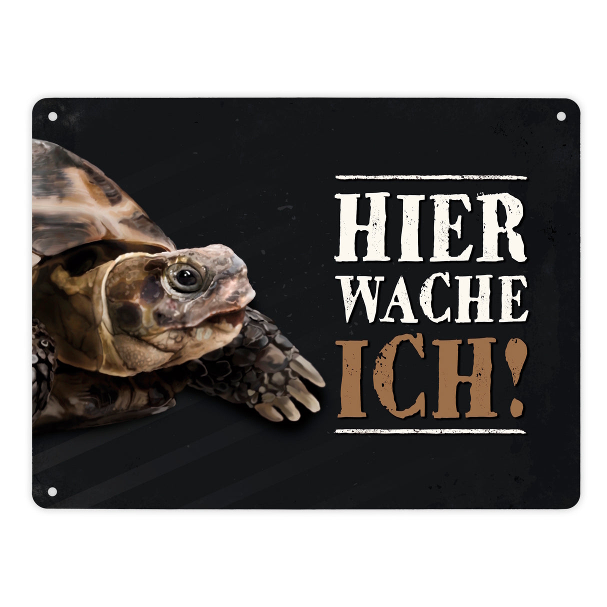 Hier wache ich! Schildkröte Metallschild