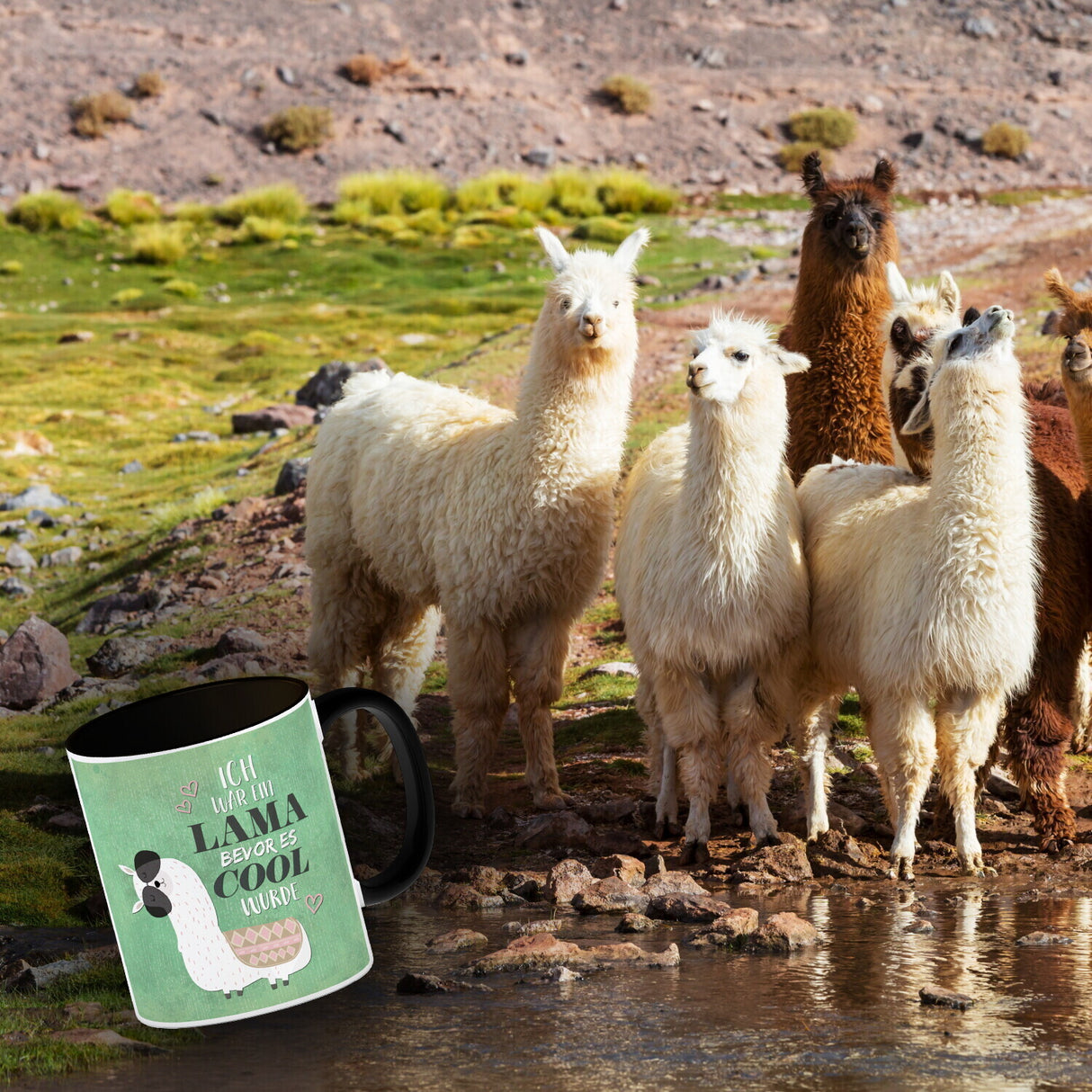 Kaffeebecher mit Spruch: Ich war ein Lama bevor es ...