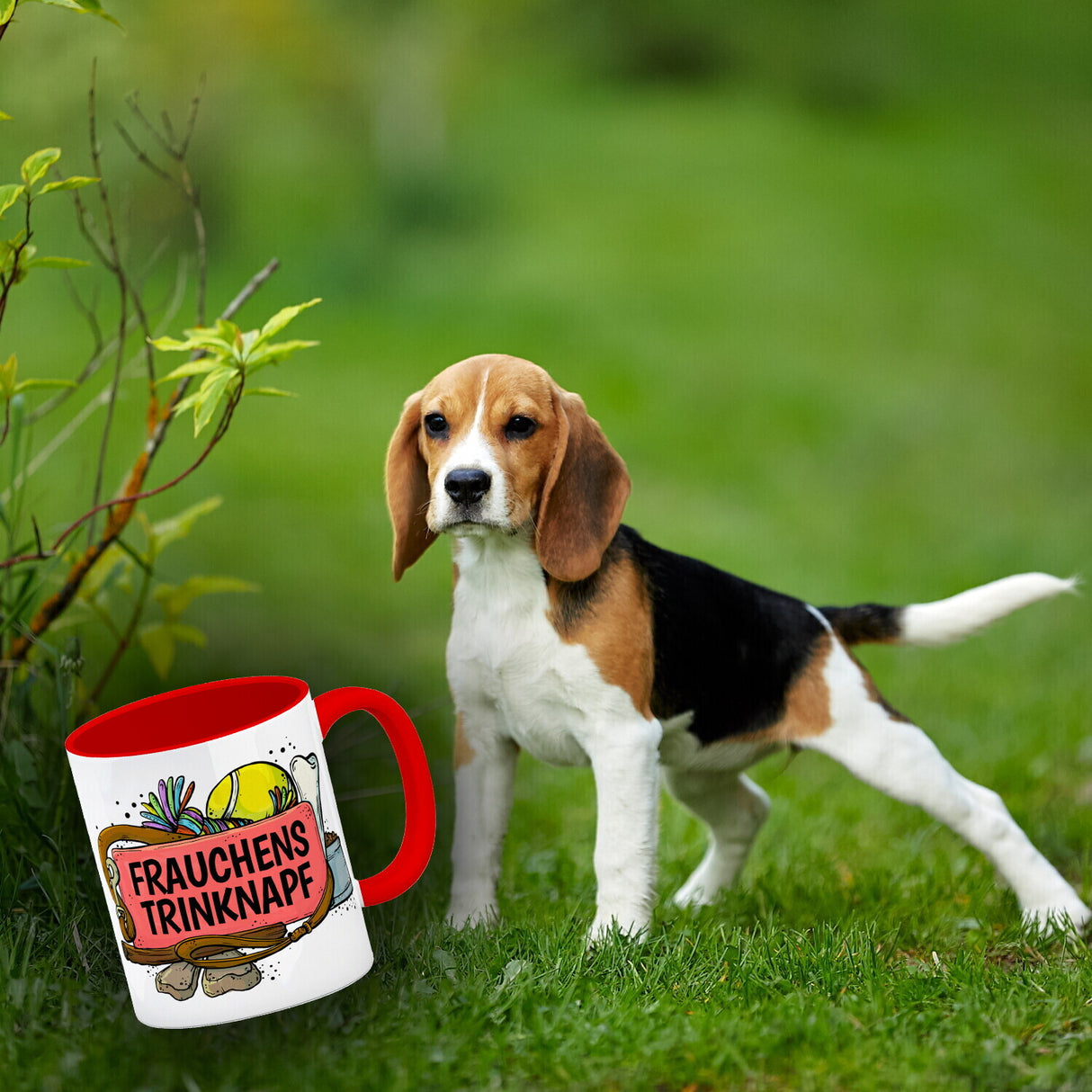 Frauchens Trinknapf Kaffeebecher