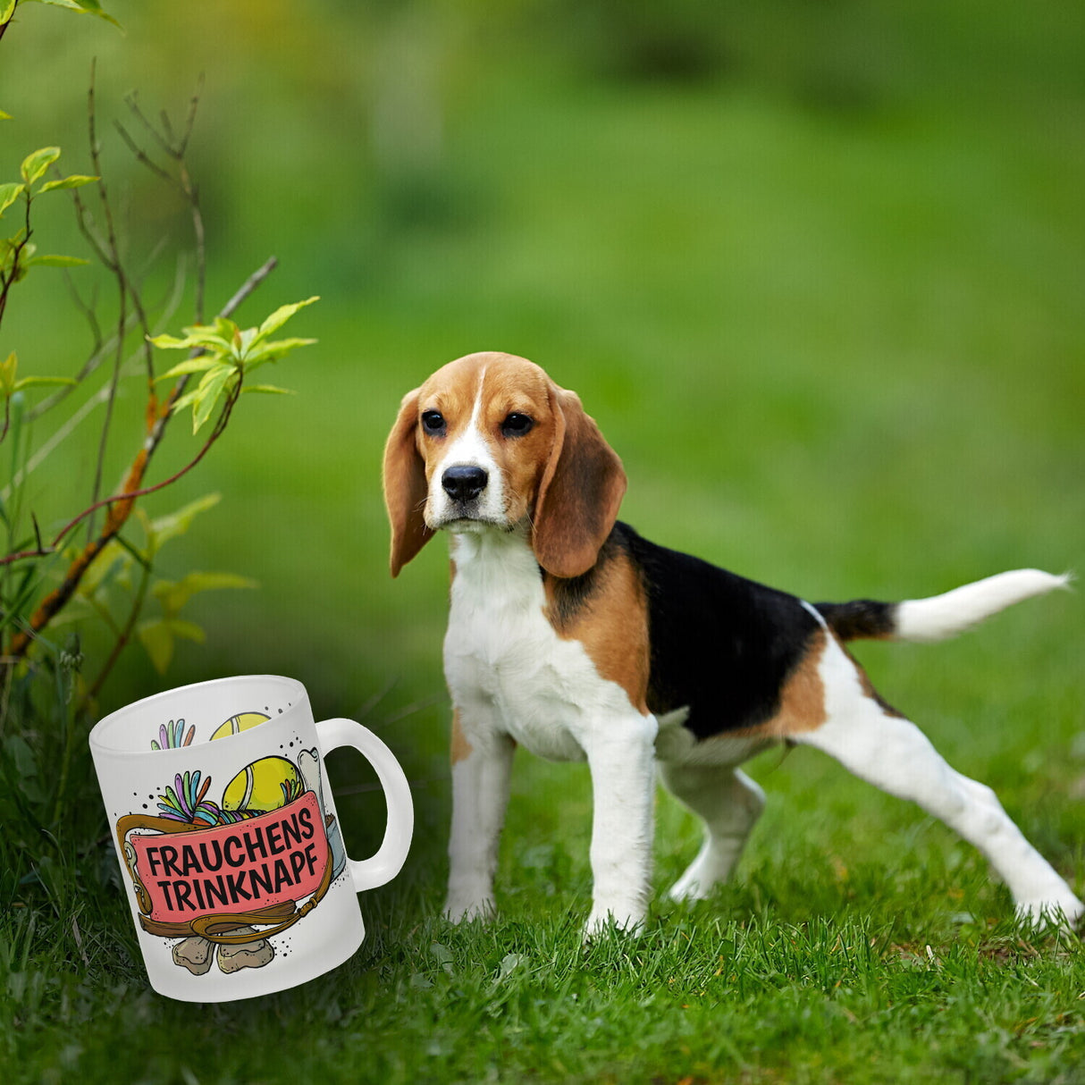 Frauchens Trinknapf Kaffeebecher