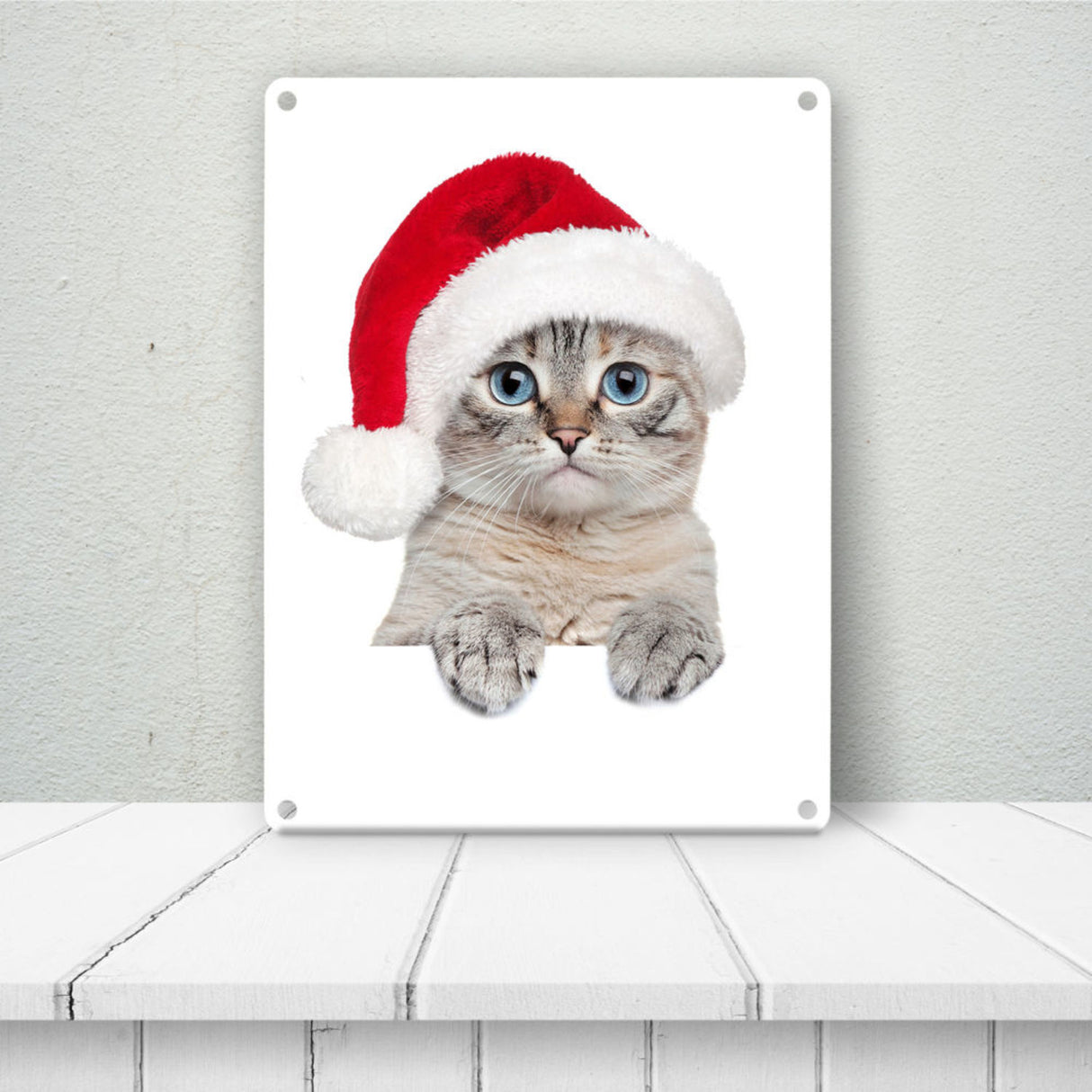 Niedliche Kätzchen Metallschild im Weihnachtsstyle