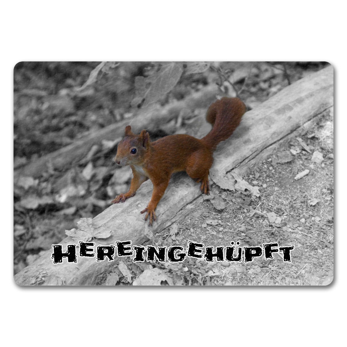 Hereingehüpft Fussmatte mit Eichhörnchen