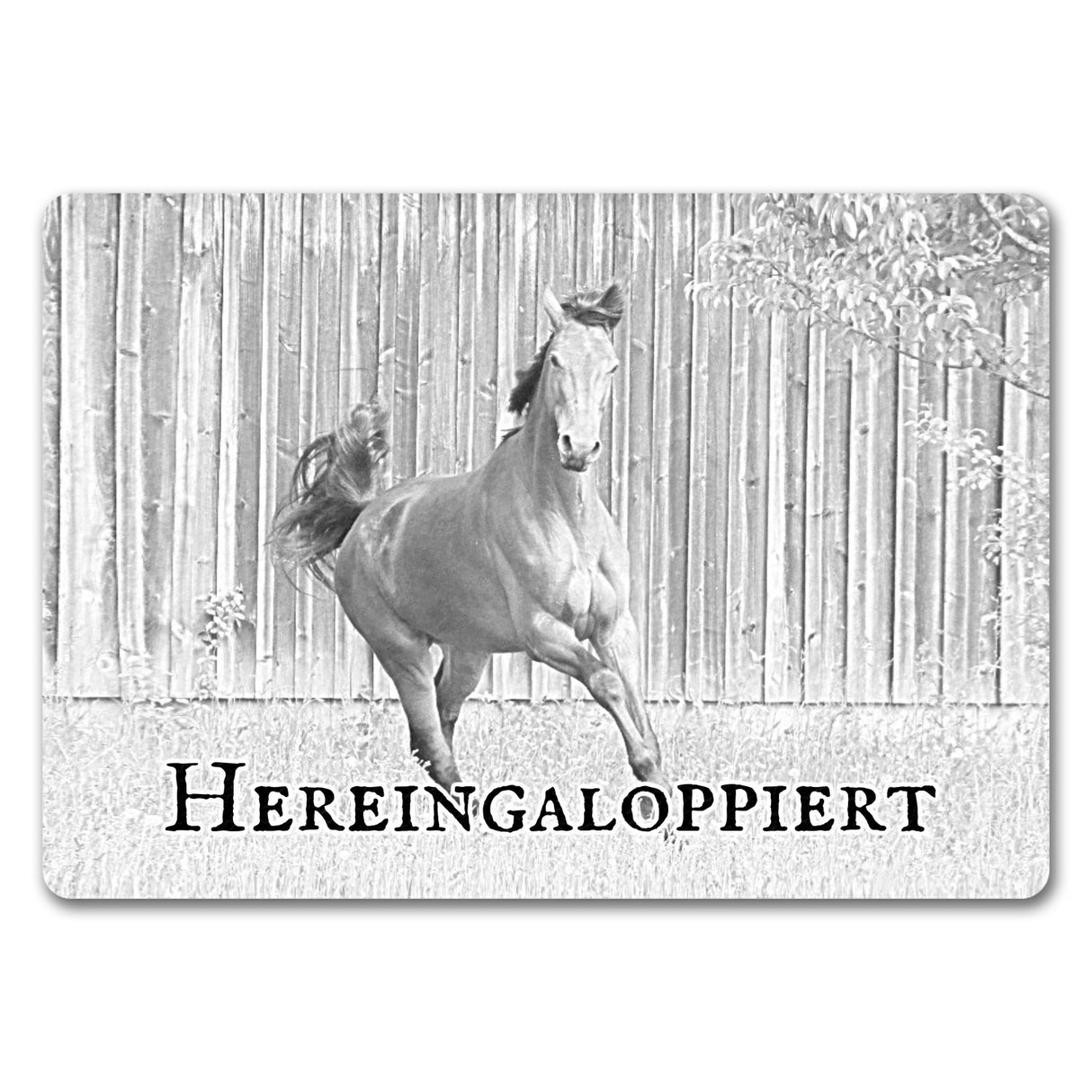 Hereingaloppiert Fussmatte mit Pferd für jeden Pferdeliebhaber ein Muss