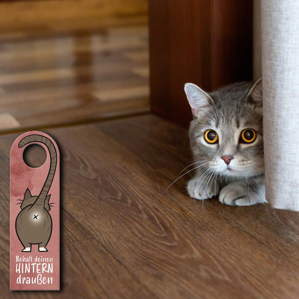 Komm doch rein oder Behalt deinen Hintern draußen - Türhänger mit oranger Katze