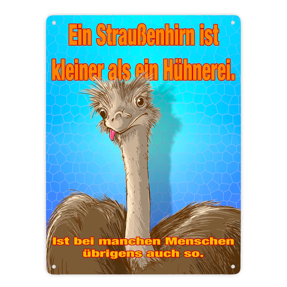 Metallschild Spruch - Ein Straußenhirn ist kleiner als ein Hühnerei