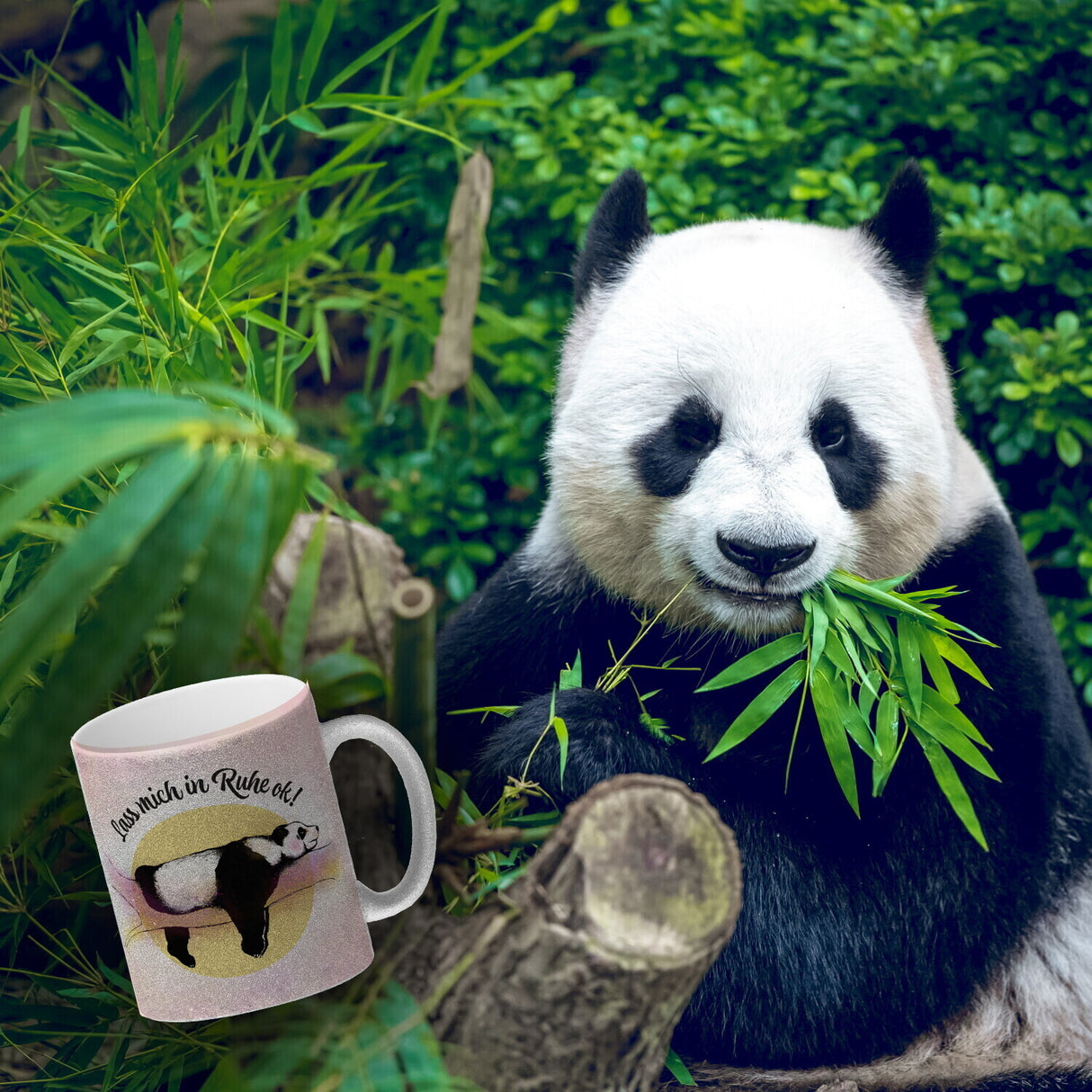 Panda auf einem Ast Kaffeebecher Lass mich in Ruhe ok! in bunten Farben