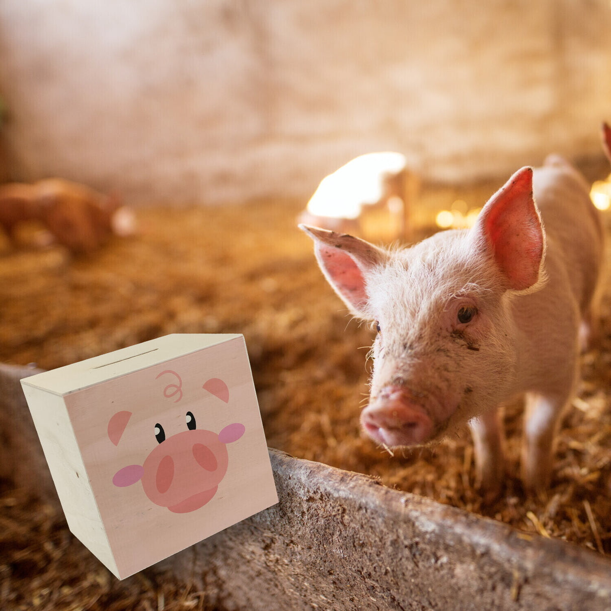 Spardose aus Keramik mit niedlichem Schweine-Gesicht - für kleine Kinder