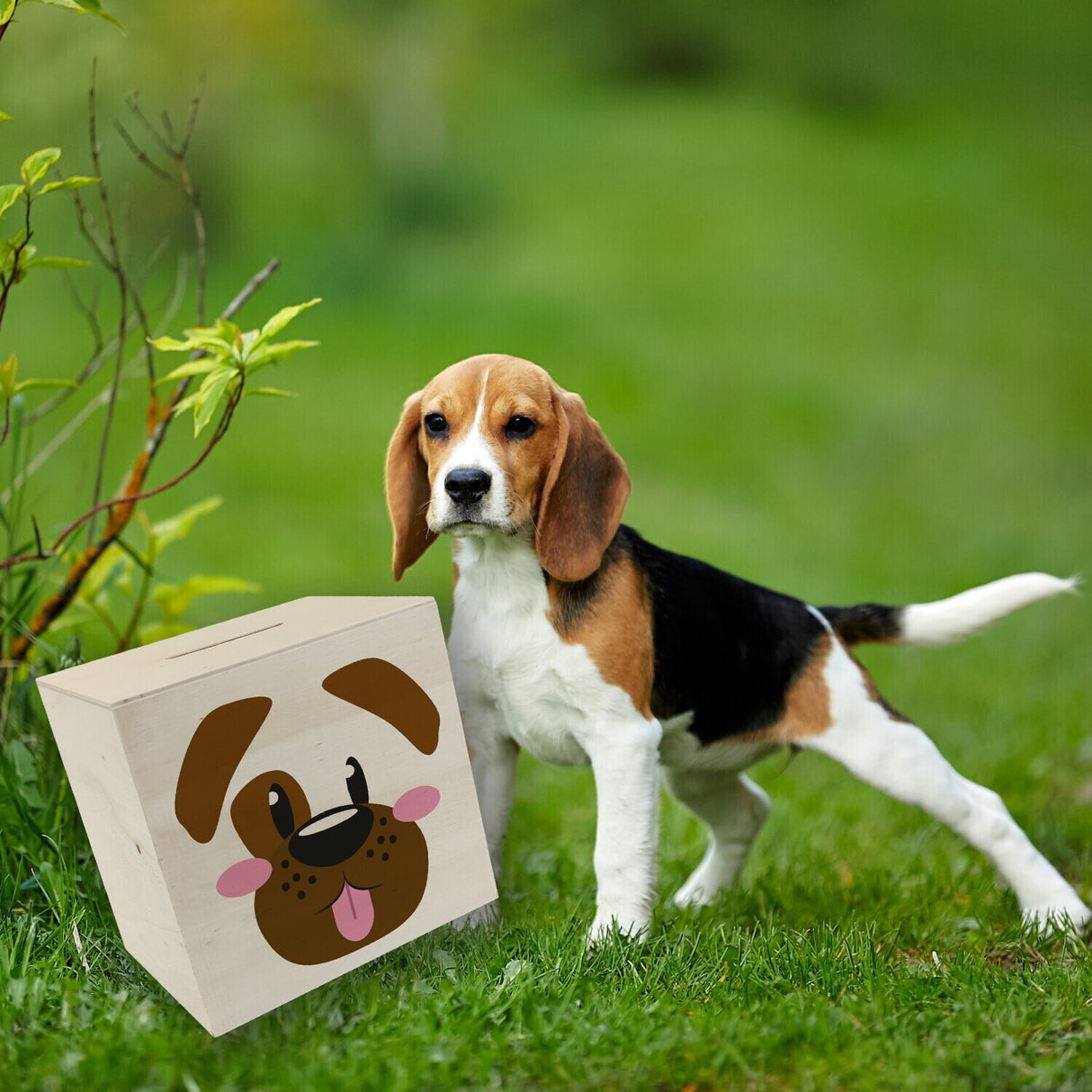 Spardose aus Keramik mit niedlichem Hunde-Gesicht - für kleine Kinder