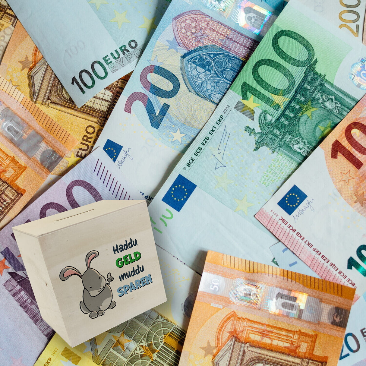 Spardose mit Hasenmotiv und lustigem Spruch - Haddu Geld muddu sparen