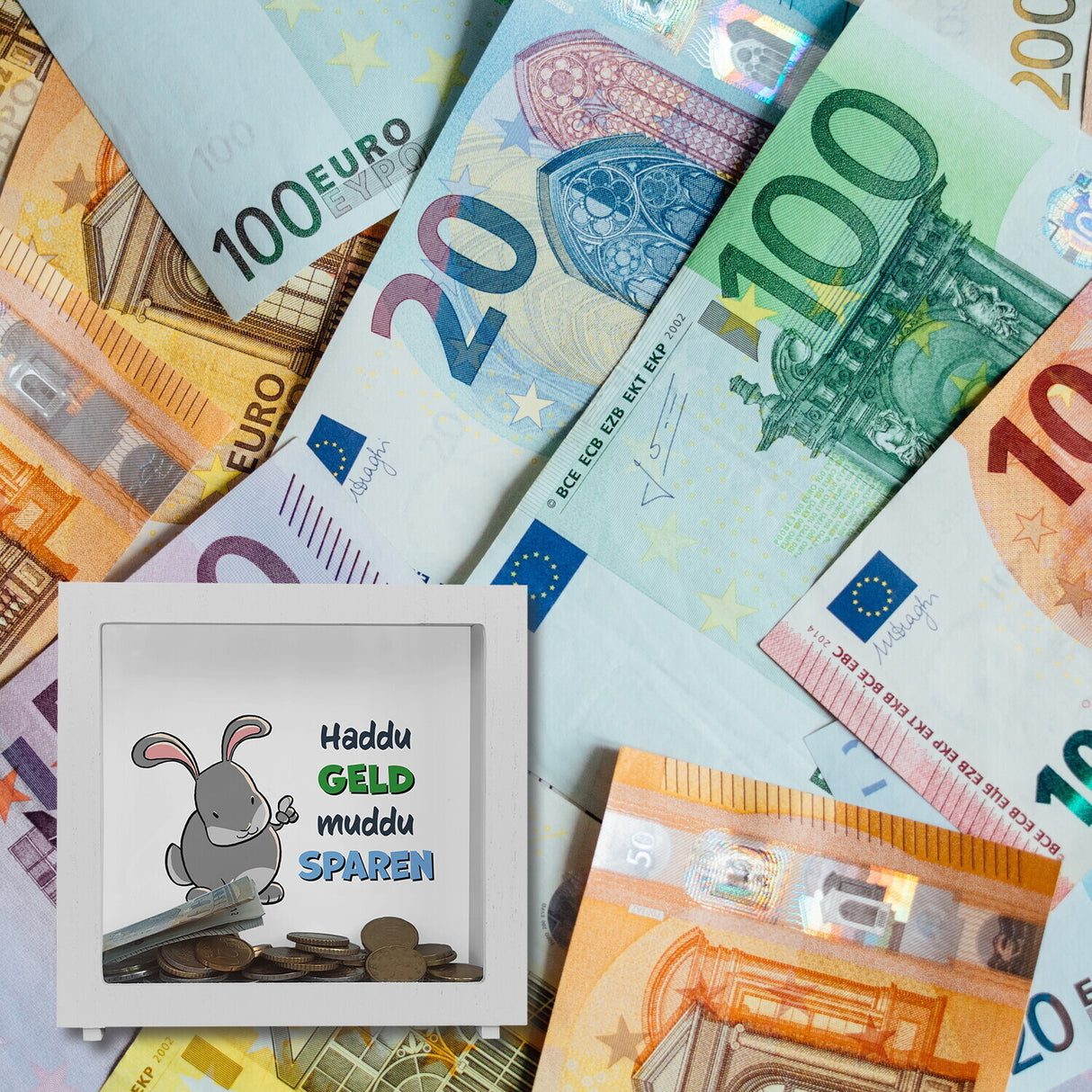 Spardose mit Hasenmotiv und lustigem Spruch - Haddu Geld muddu sparen