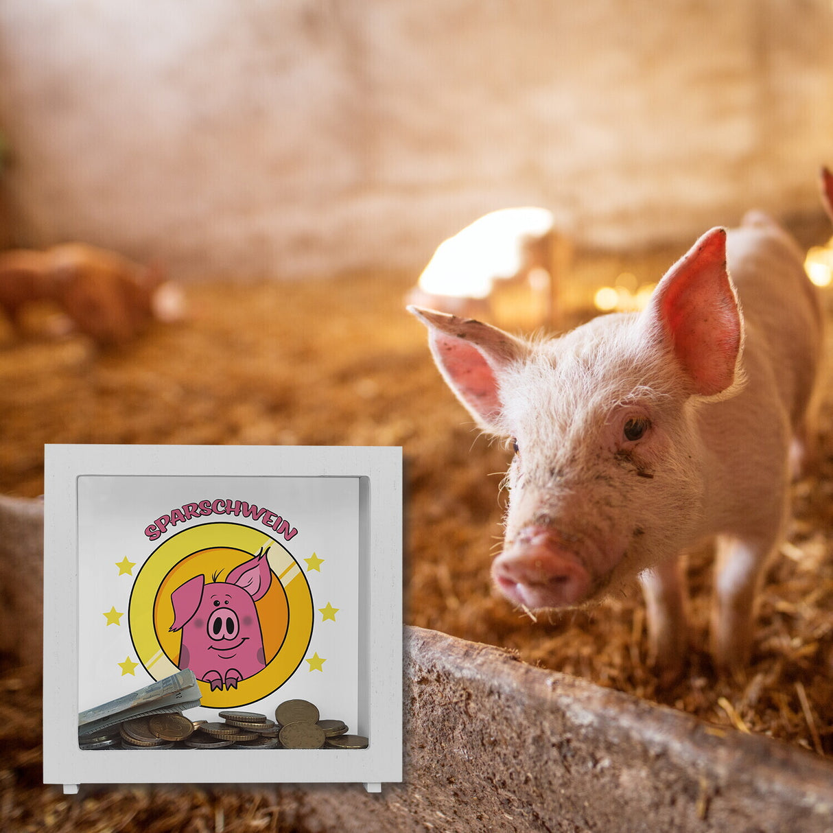 Spardose mit lustigem Schweinchen Motiv und Spruch - Sparschwein