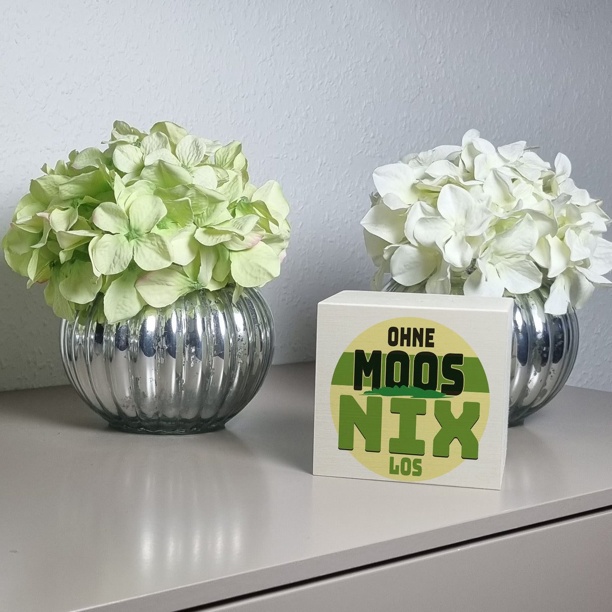 Spardose mit lustigem Motiv und Spruch: Ohne Moos nix los
