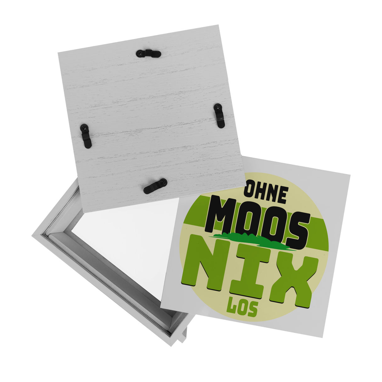 Spardose mit lustigem Motiv und Spruch: Ohne Moos nix los