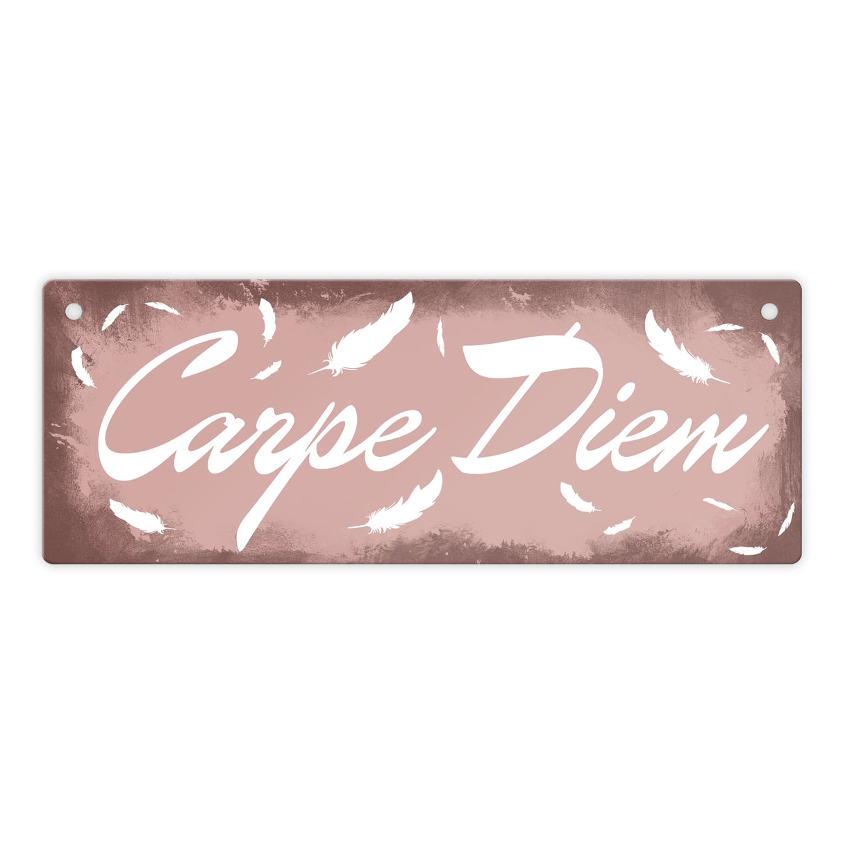 Carpe Diem Nutze den Tag Metallschild in braun