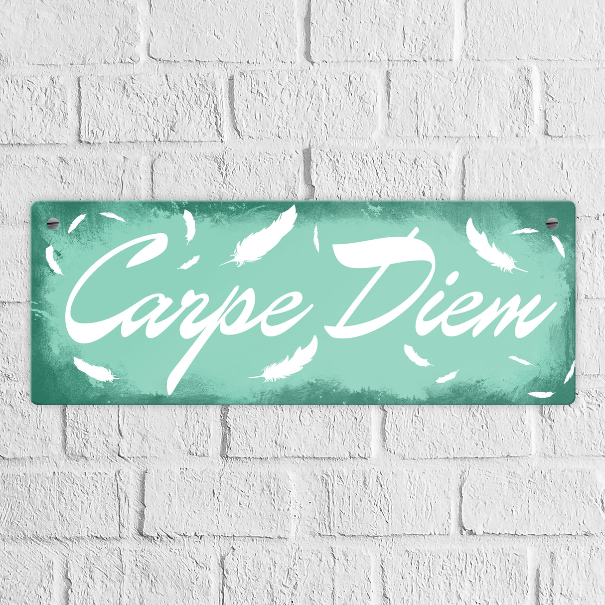 Carpe Diem Nutze den Tag Metallschild in braun