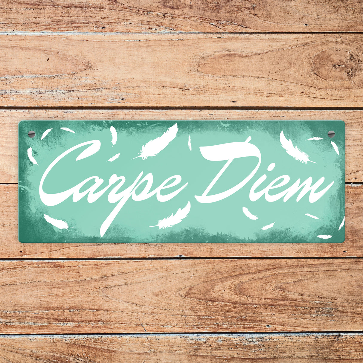 Carpe Diem Nutze den Tag Metallschild in braun