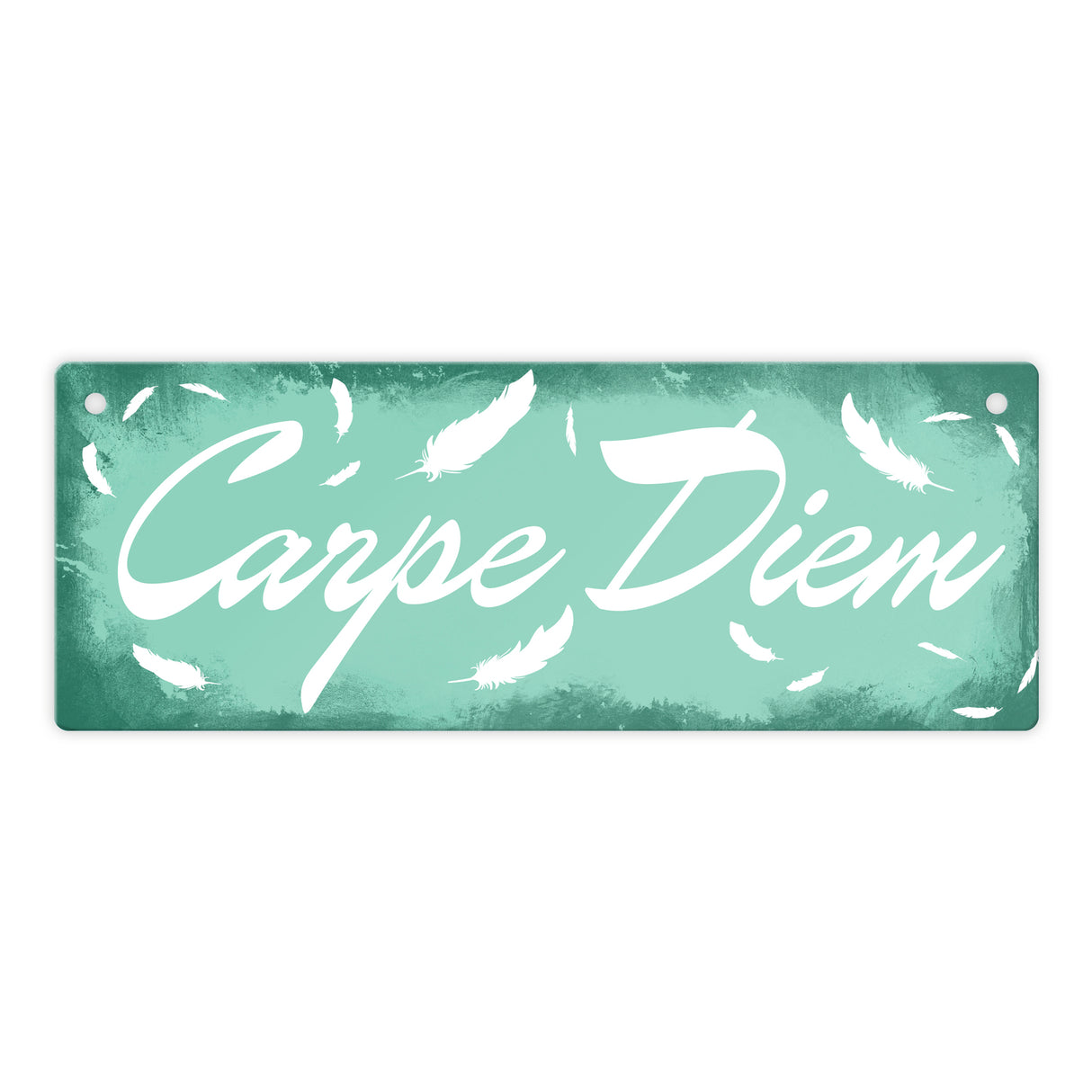 Carpe Diem Nutze den Tag Metallschild in braun