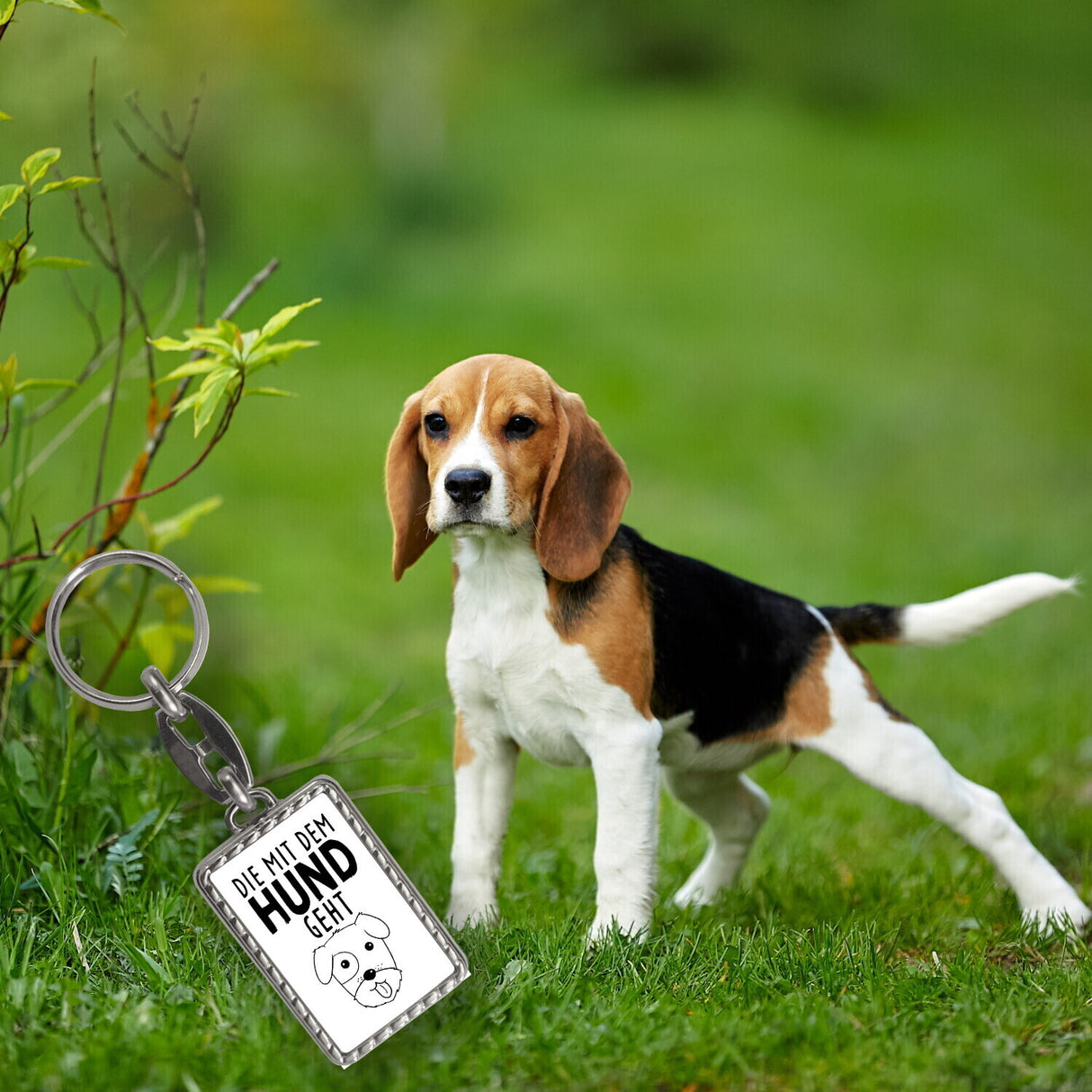 Die mit dem Hund geht Schlüsselanhänger