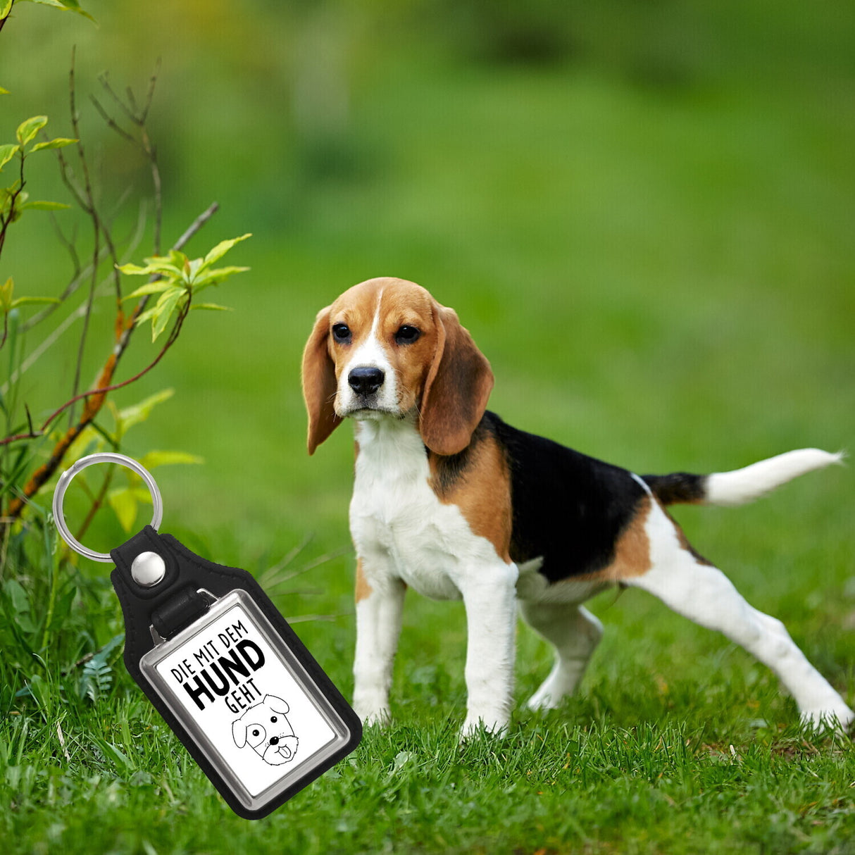 Die mit dem Hund geht Schlüsselanhänger