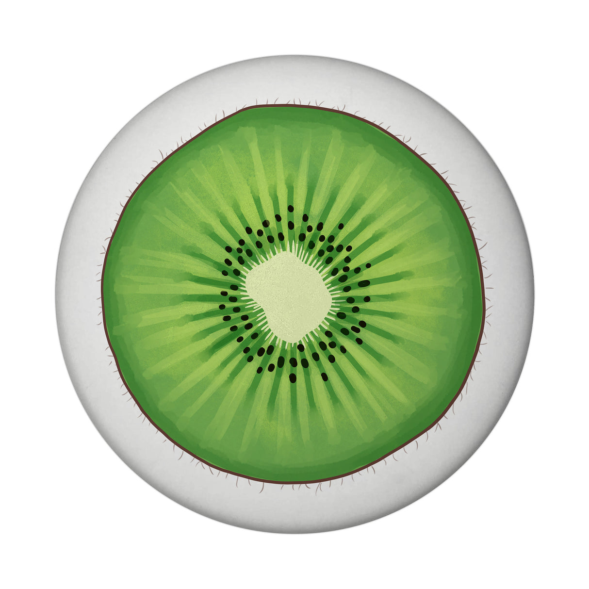 Kiwi Magnet rund