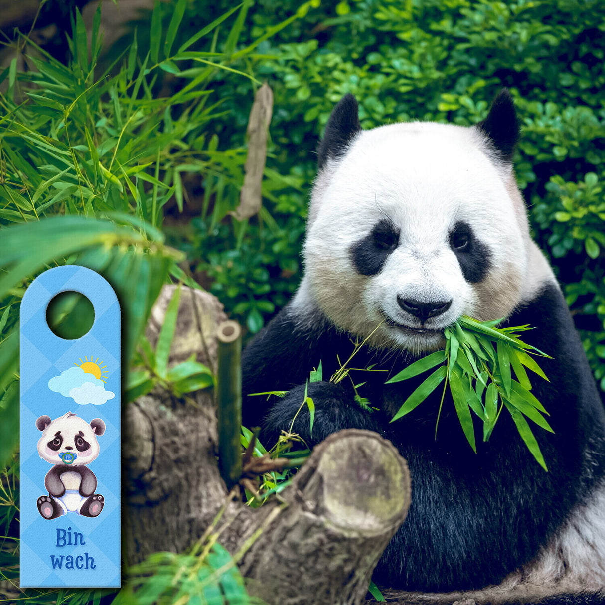 Baby schläft Panda Türhänger