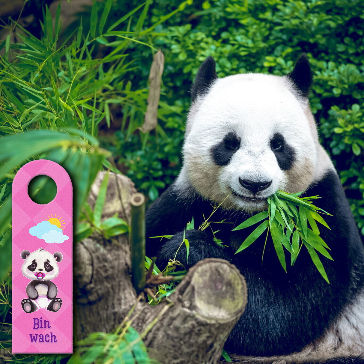Baby schläft Panda Türhänger