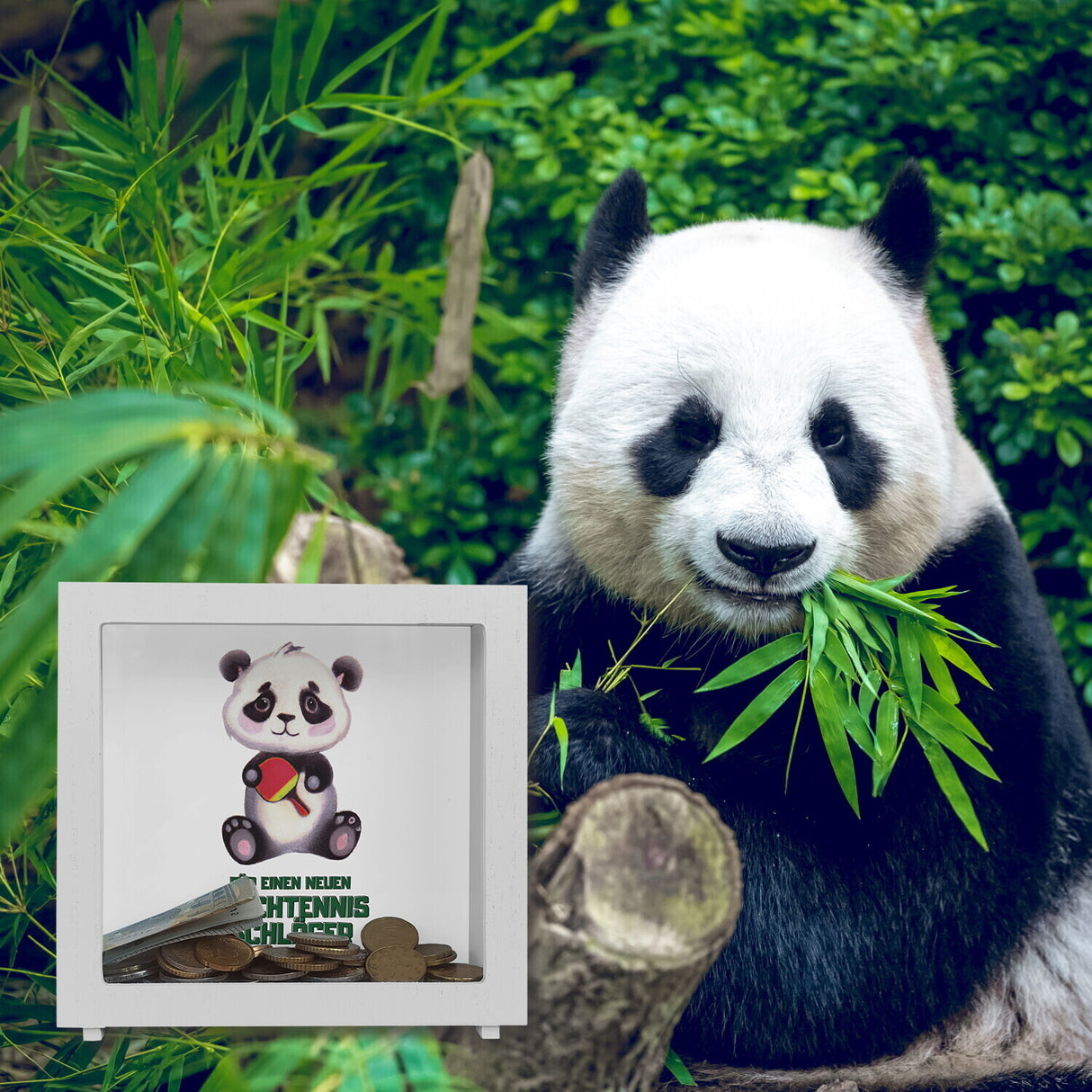 Für einen neuen Tischtennis Schläger Panda Spardose