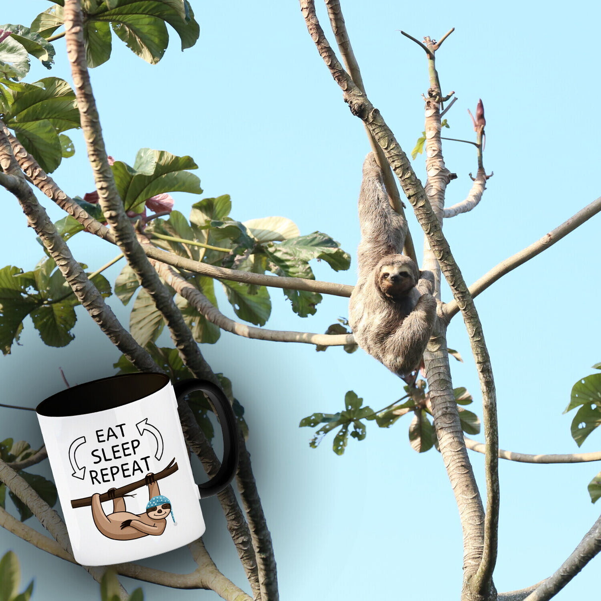 Eat sleep repeat Faultier Kaffeebecher
