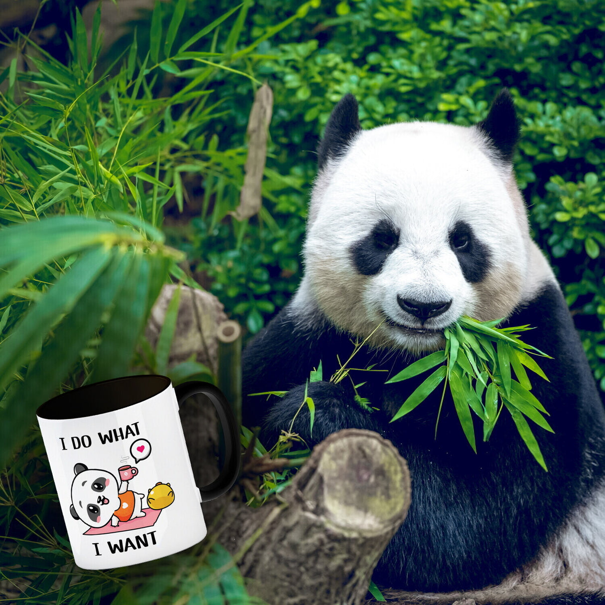 I do what I want Panda Kaffeebecher