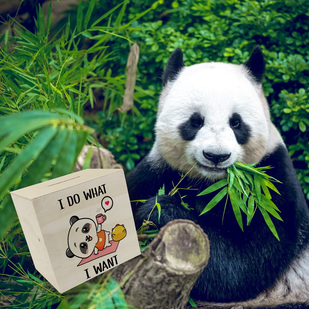 I Do What I Want Panda Spardose
