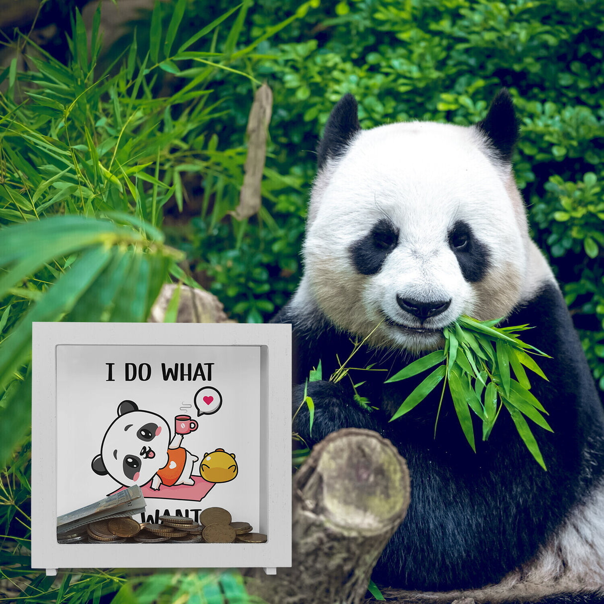 I Do What I Want Panda Spardose