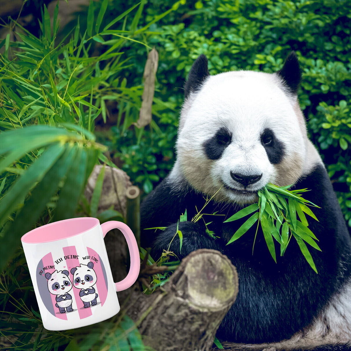 Panda Kaffeebecher mit Spruch Du meins ich deins wir eins