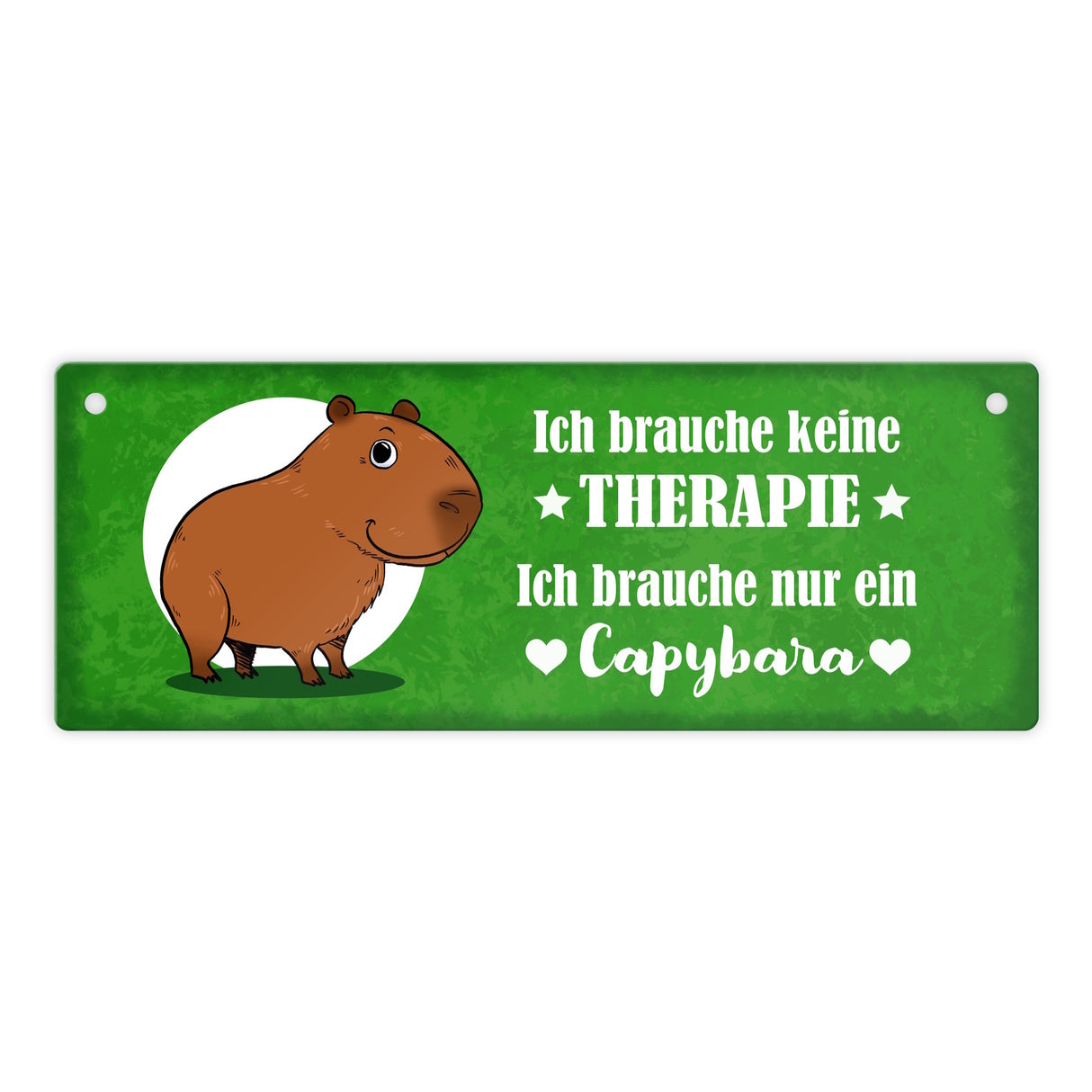 Keine Therapie – ich brauche nur ein Capybara Metallschild