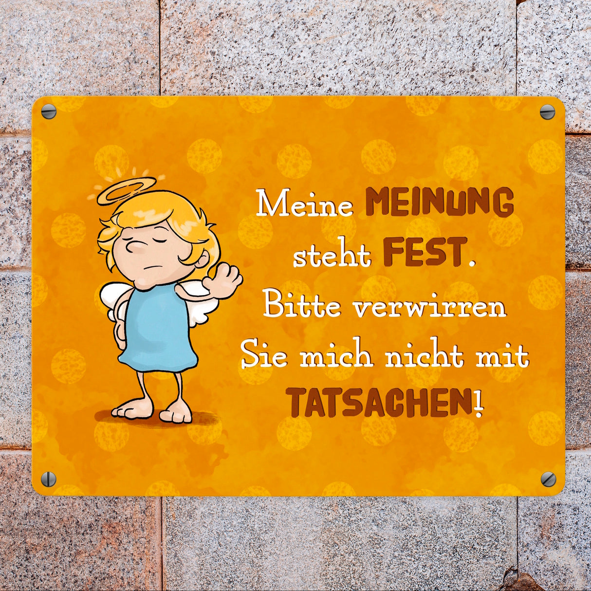 Engel Metallschild in 15x20 cm mit Spruch- Ich spreche Ironie mit Sarkasmus-Akzent