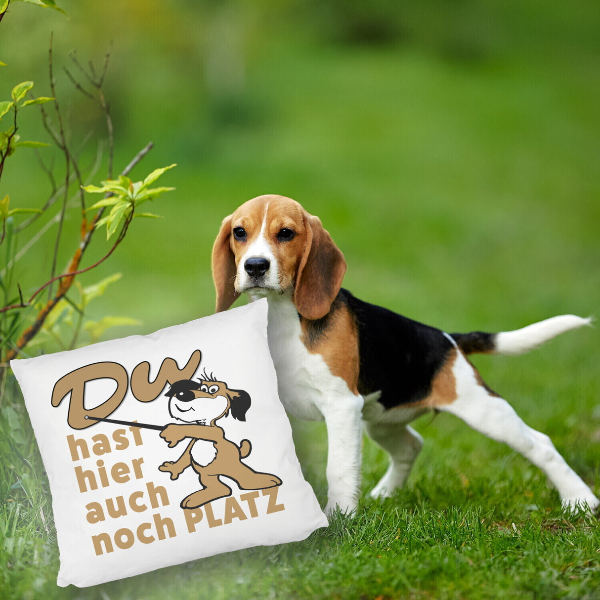 Du hast hier auch noch Platz Kissen mit freundlichem Hund