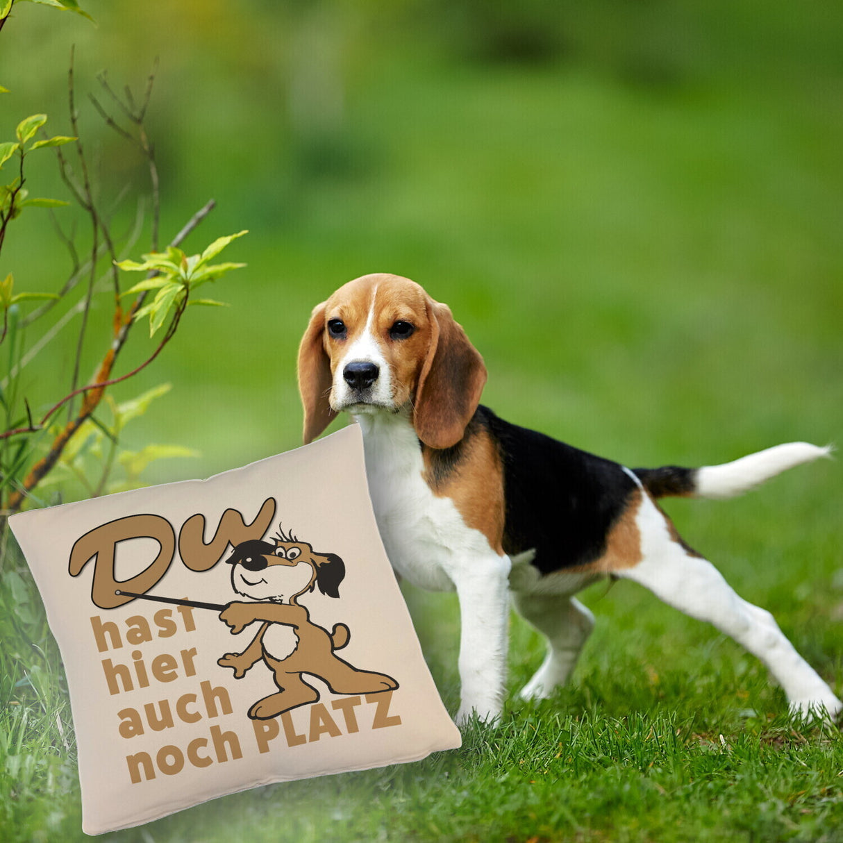 Du hast hier auch noch Platz Kissen mit freundlichem Hund