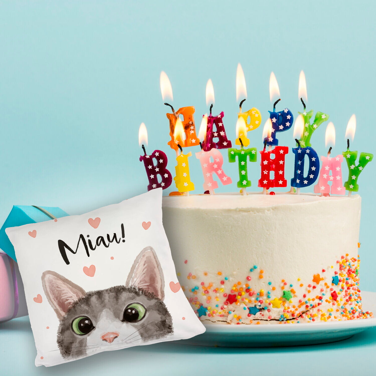 Miau Katze Kissen