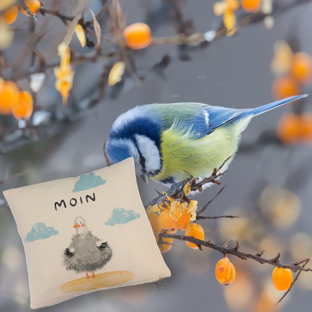 Möwe Kissen mit Spruch Moin