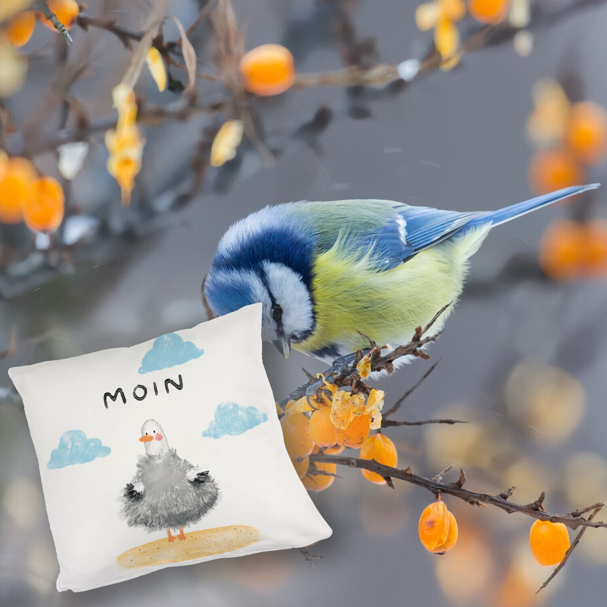 Möwe Kissen mit Spruch Moin
